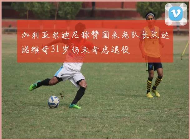 加利亚尔迪尼称赞国米老队长汉达诺维奇31岁仍未考虑退役