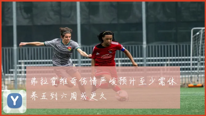 弗拉霍维奇伤情严峻预计至少需休养五到六周或更久