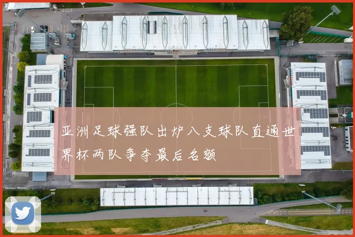 亚洲足球强队出炉八支球队直通世界杯两队争夺最后名额