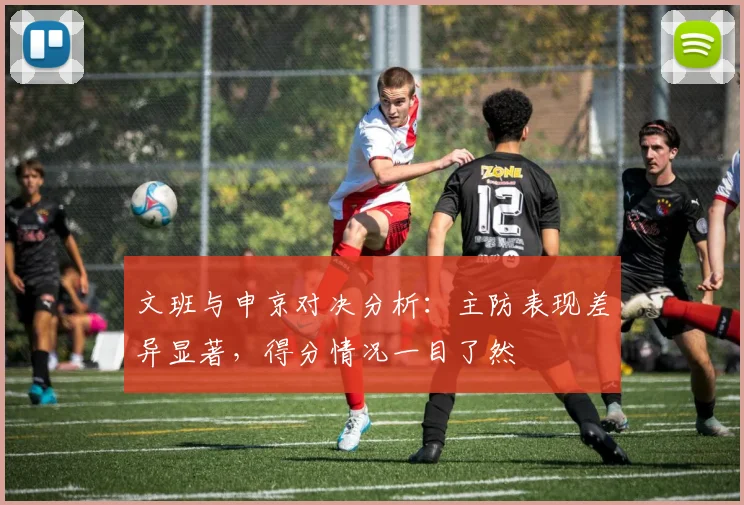 文班与申京对决分析：主防表现差异显著，得分情况一目了然