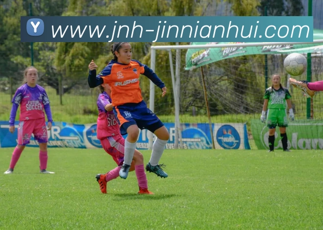 今年会官网品牌故事